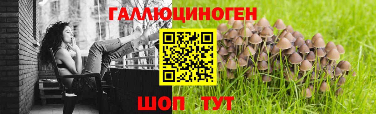 Карабулак  Галлюциногенные грибы Psilocybine cubensis  Вход с VPN 